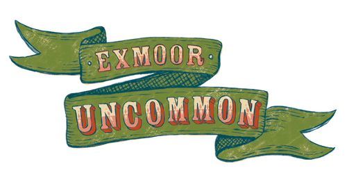 Exmoor Uncommon